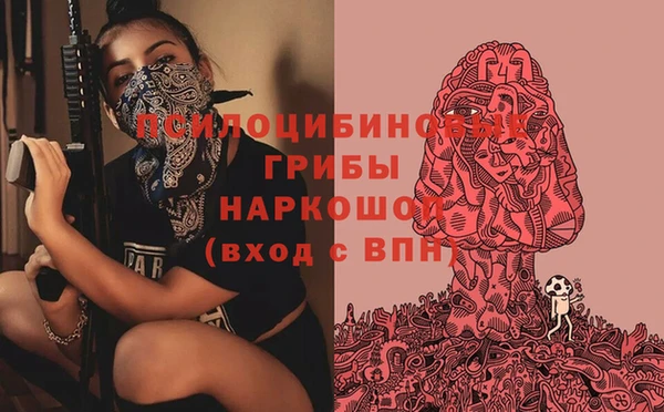 гашик Заполярный