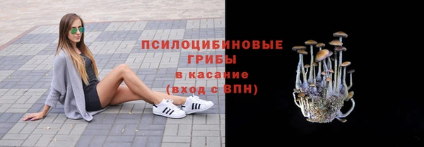 ECSTASY Навашино