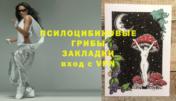ALPHA-PVP Няндома