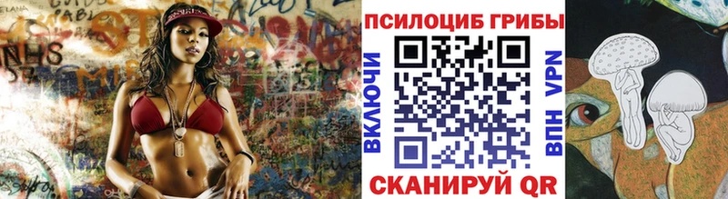 Псилоцибиновые грибы мицелий  купить закладку  Катав-Ивановск 